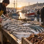Port de pêche de Dives sur Mer : halle aux poissons, pêcheur déchargeant des caisses