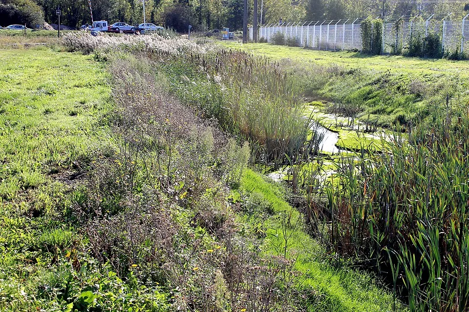 L’ancien cours du Dan à Blainville-sur-Orne. Vue de la commune.